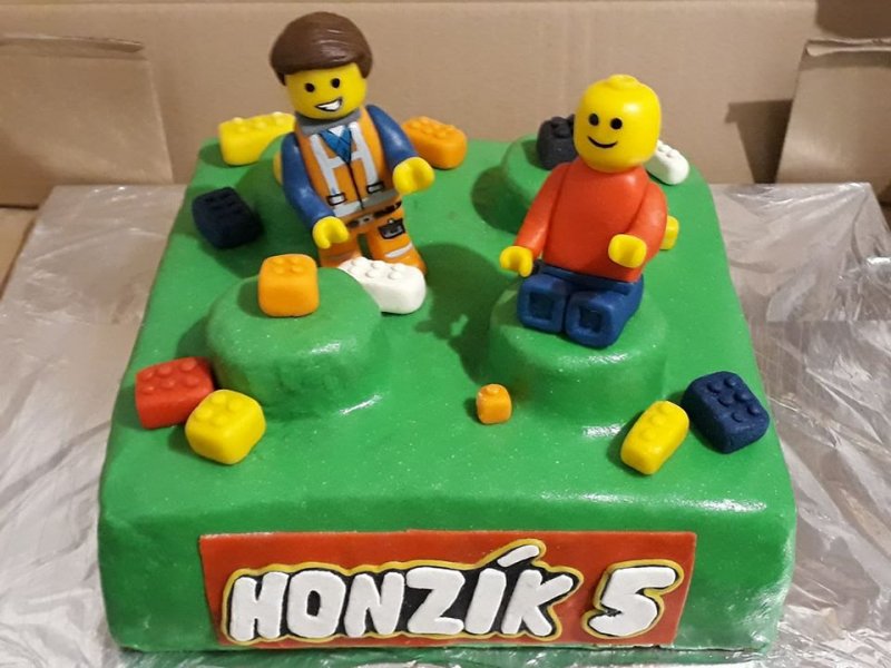 foto LEGO dorty fanoušků Kostkování 802