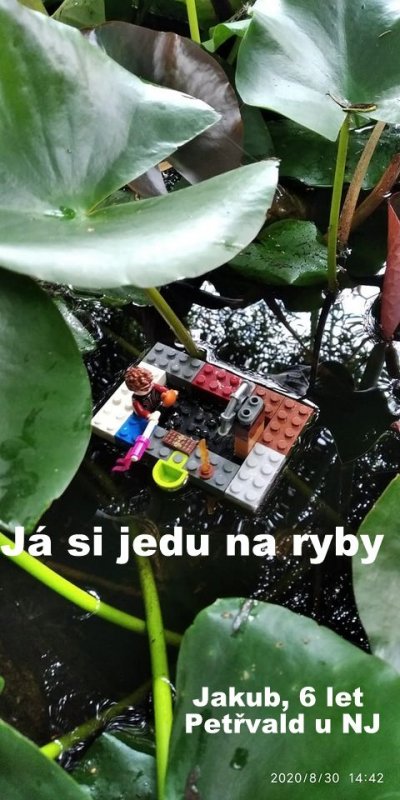 foto LEGO na vodě 1389