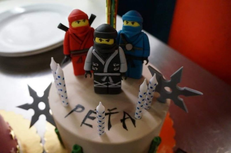 foto LEGO dorty fanoušků Kostkování 2418