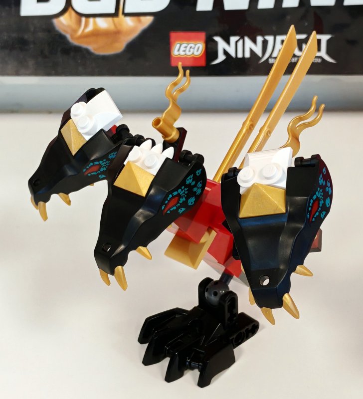 foto DRACI z Ninjago světa 17997