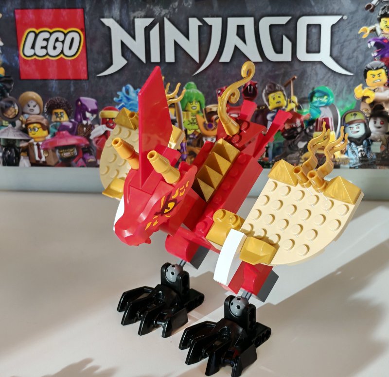 foto DRACI z Ninjago světa 18018