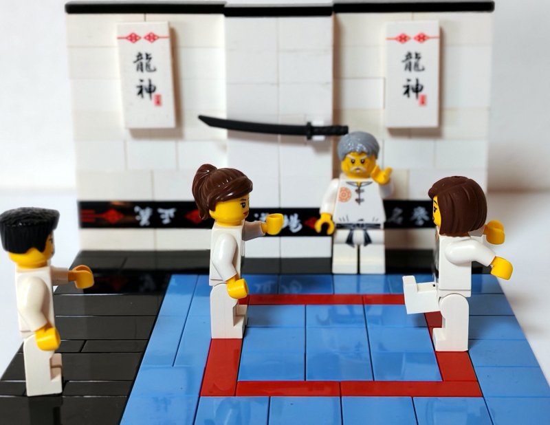 foto LEGO sport 18094