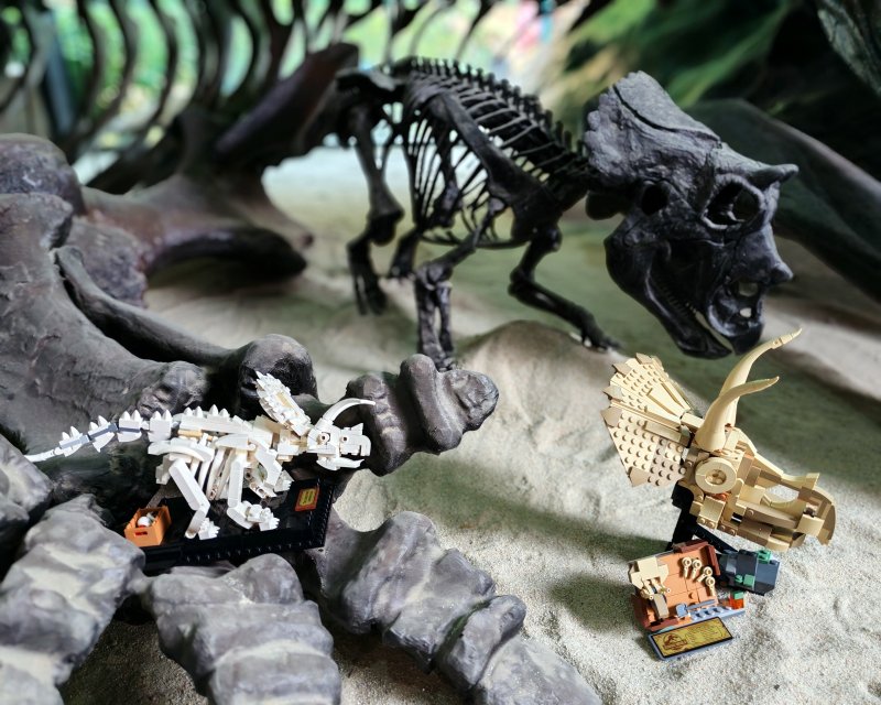 foto Kostkování mezi DINOSAURY 19267