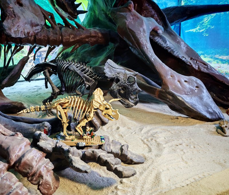 foto Kostkování mezi DINOSAURY 19270