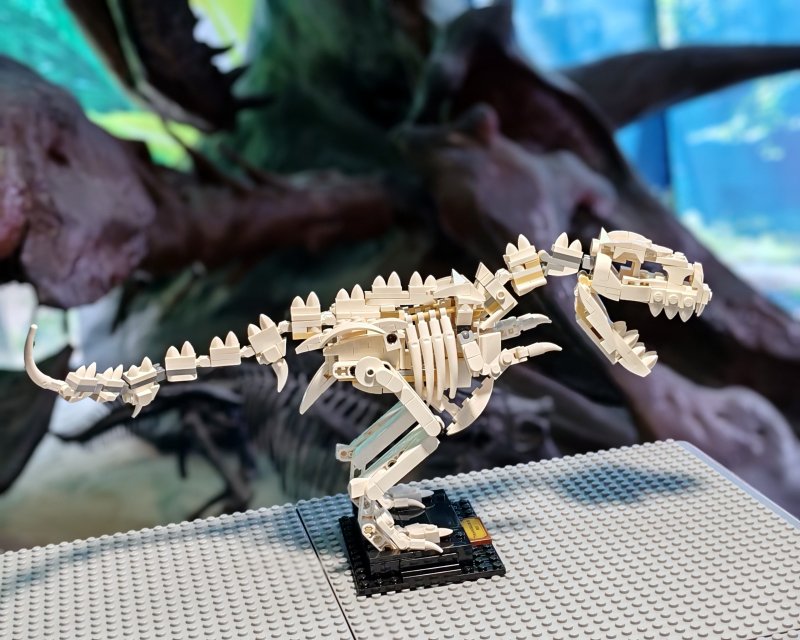 foto Kostkování mezi DINOSAURY 19271