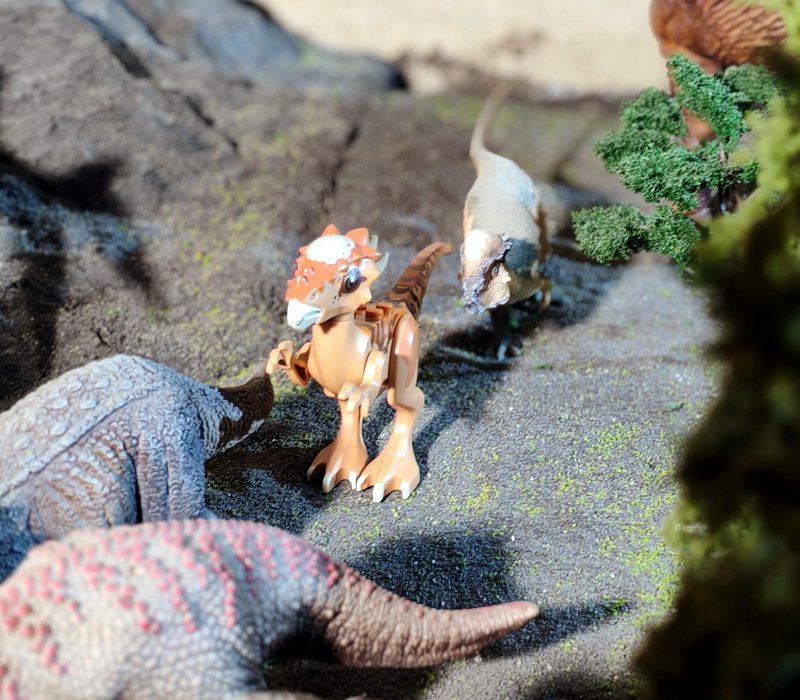 foto Kostkování mezi DINOSAURY 19285