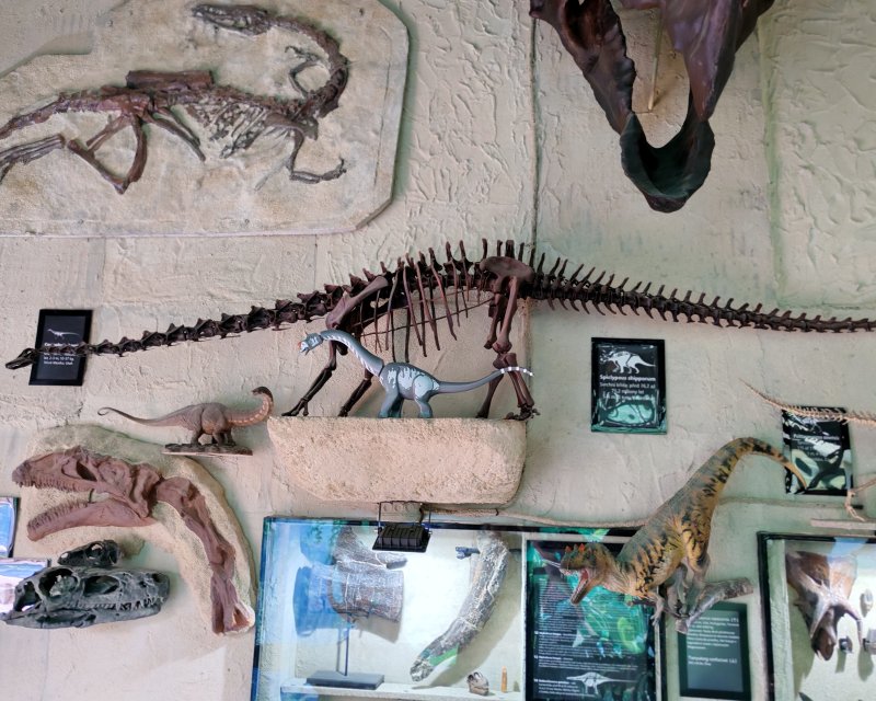 foto Kostkování mezi DINOSAURY 19292