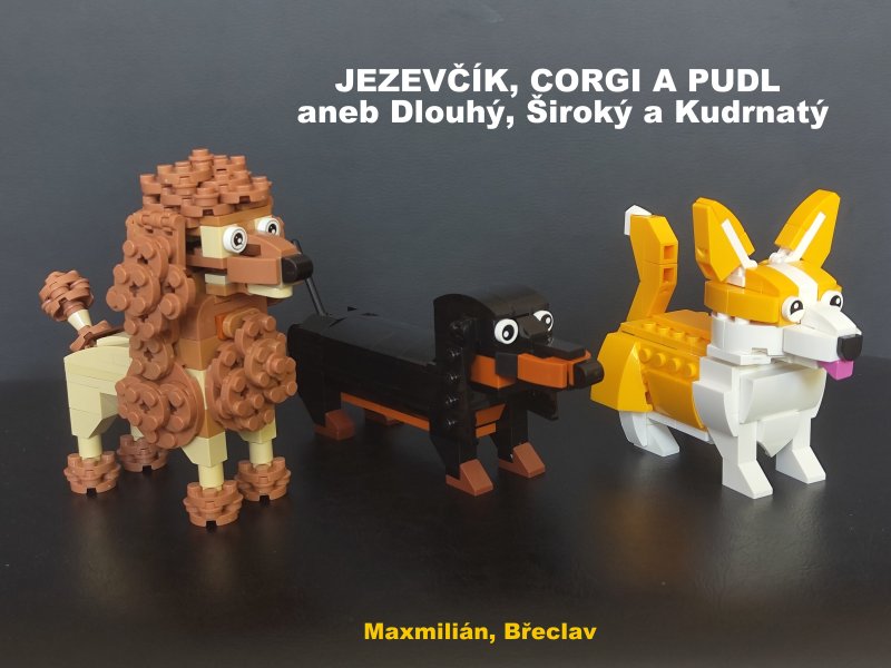 foto SOUTĚŽ Pejsek 19377