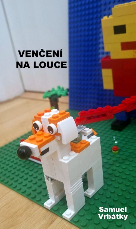 foto SOUTĚŽ Pejsek 19379