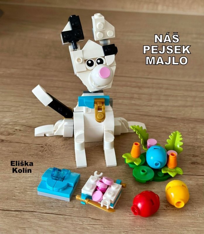foto SOUTĚŽ Pejsek 19381