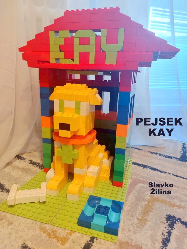 foto SOUTĚŽ Pejsek 19386