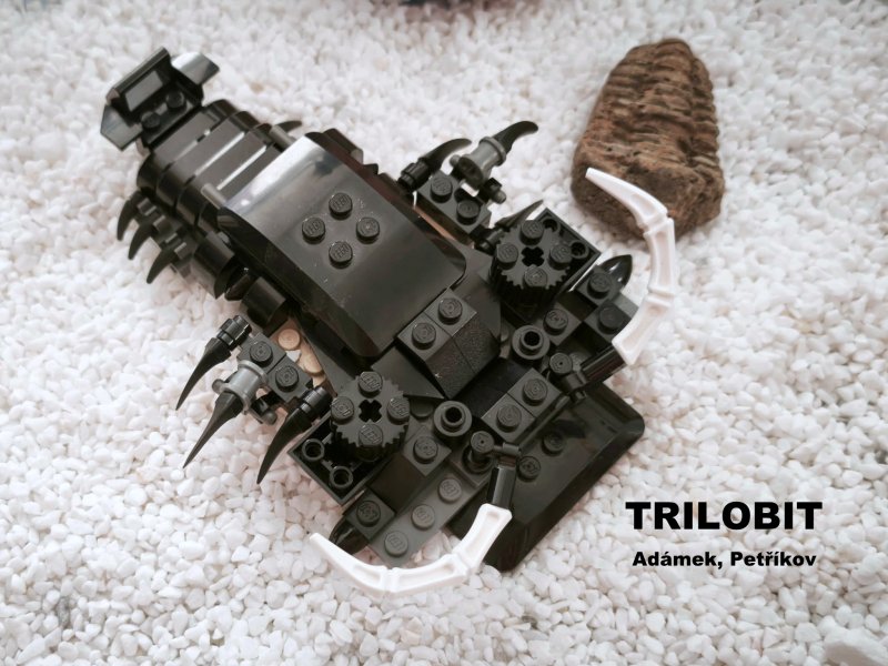 foto SOUTĚŽ Písmeno T 19404