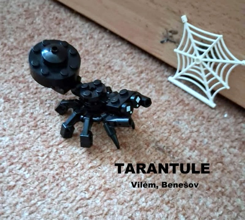 foto SOUTĚŽ Písmeno T 19441