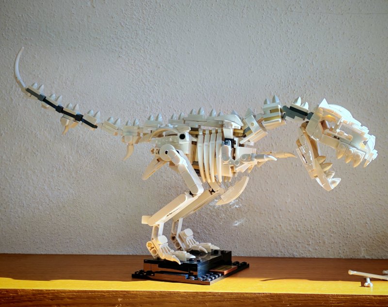 foto Kostky mezi obrazy VIII. DINOSVĚT 19665