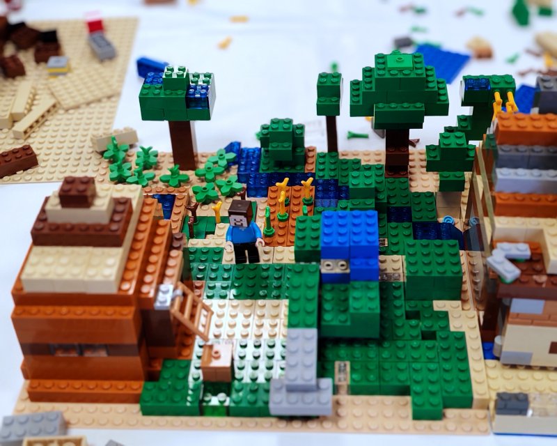 foto MINECRAFT 19895