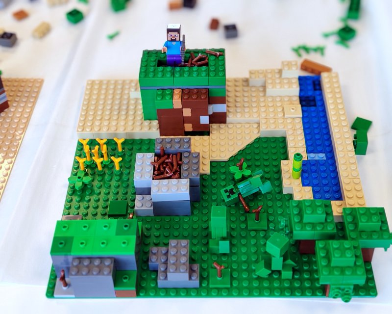 foto MINECRAFT 19903
