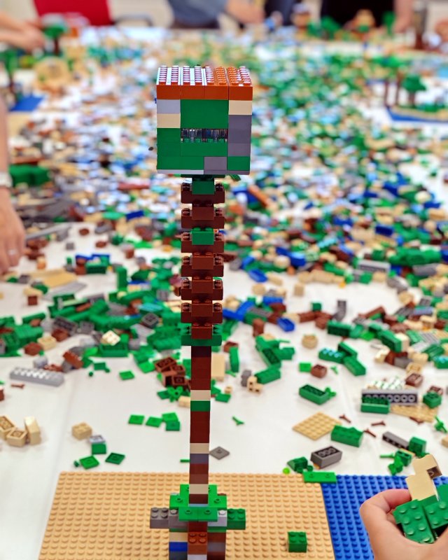 foto MINECRAFT 19916