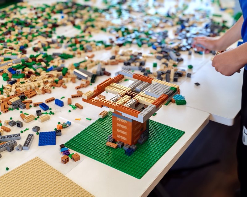foto MINECRAFT 19919