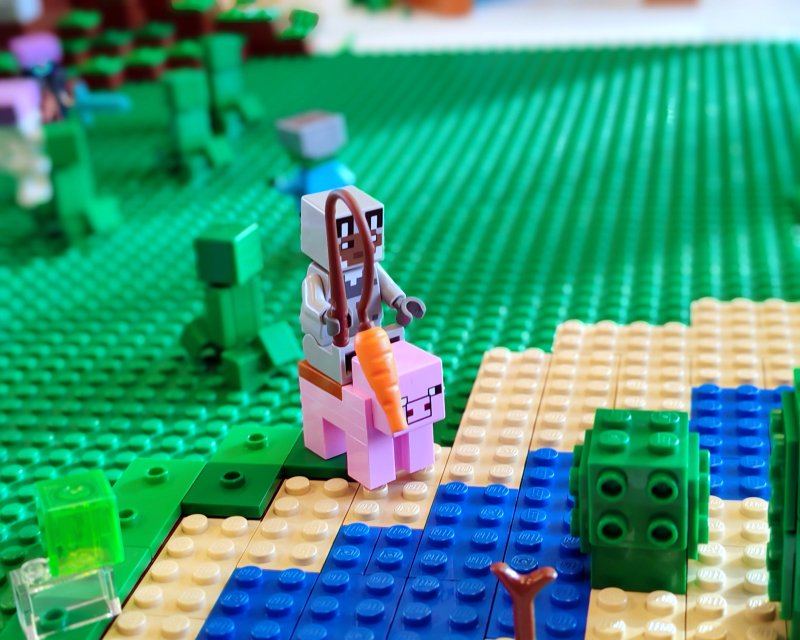 foto MINECRAFT 19924
